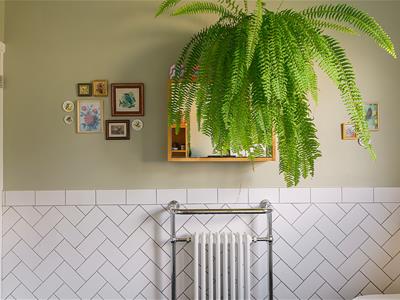 Picture 21